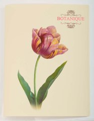 Папка с 30 файлами A4 "Botanique" L6186