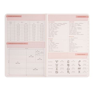 Щоденник діловий Leo Planner Amber А5 недатований м'який теракотовий 320 сторінок