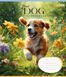 Тетрадь школьная 1B Floral dog 12 листов косая линия 5 из 6