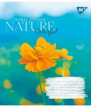 Зошит для записів Yes Nature colorful 36 аркушів клітинка