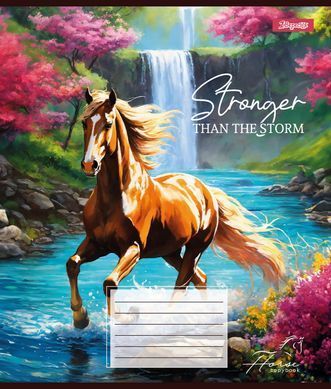 Зошит шкільний 1B Stronger than the storm 12 аркушів лінія