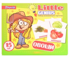 Набор детских карточек "Овощи", 15 шт в наборе (рус)