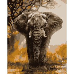 Набір, картина за номерами "Слон", 40*50 см., SANTI
