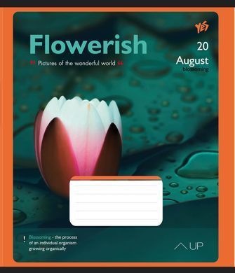 Зошит А5 48 Лін. YES Flowerish