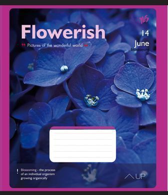 Зошит А5 48 Лін. YES Flowerish
