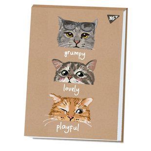 Альбом для рисования YES А4 20 листов склейка белила "Cats" крафт