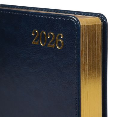Ежедневник А5 Leo Planner датированный 2026 "City", твердый, синий, 368 страниц