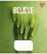 Зошит шкільний Yes Believe in yourself 24 аркушів клітка 3 з 6