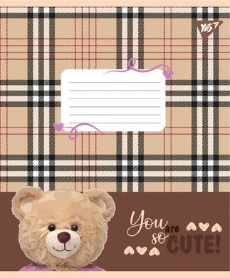 Зошит учнівський шкільний Yes You are cute А5 18 аркушів лінія