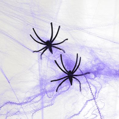 Павутина декор. Yes! Fun Хелловін 20 г, з двома павучками, фіолетова