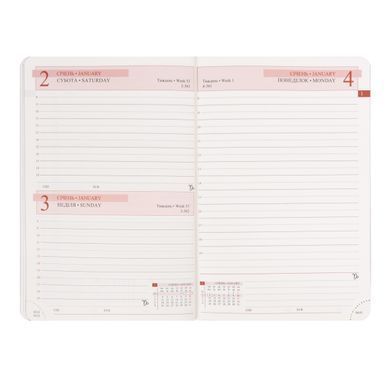 Щоденник діловий Leo Planner датований Binario А5 2027 м'який ліловий хамелеон 368 сторінок