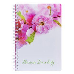 Тетрадь для записей А4/120 пл.обл. Sakura YES
