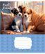 Зошит учнівський шкільний 1 Вересня Pets Frinds А5 12 аркушів лінія 5 з 6