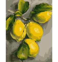 Набор, картина по номерам "Ветвь лимона", 30*40 см., SANTI