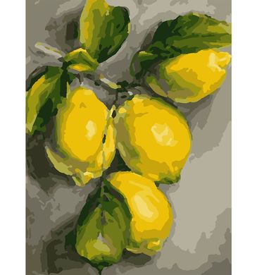 Набір, картина за номерами "Гілка лимона", 30*40 см., SANTI