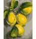 Набір, картина за номерами "Гілка лимона", 30*40 см., SANTI 1 з 2