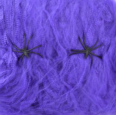 Павутина YES! Fun фіолетова з двома павучками, 20 г