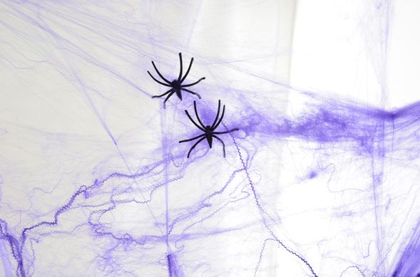 Павутина YES! Fun фіолетова з двома павучками, 20 г
