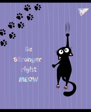 Зошит А5 12 Кл. YES Playful Kitties