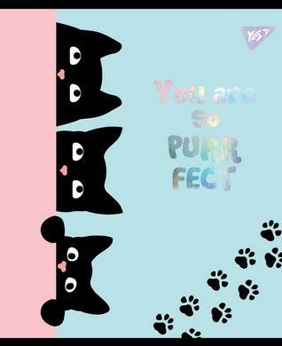 Зошит А5 12 Кл. YES Playful Kitties