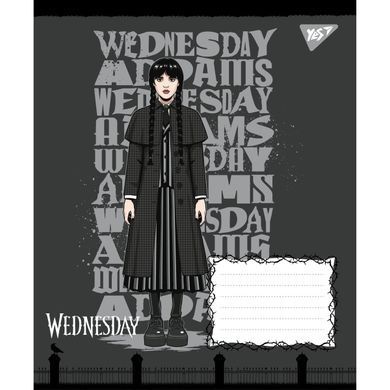 Зошит учнівський шкільний Yes Wednesday Школа Загадок А5 48 аркушів клітинка