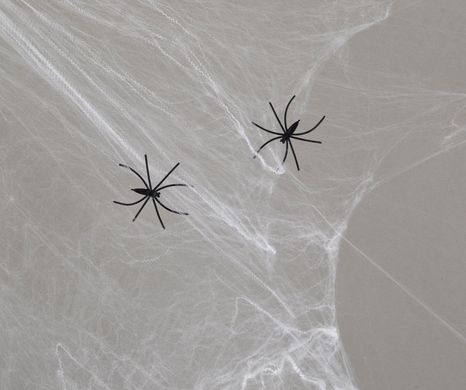 Паутина белая с двумя паучками, 40 г