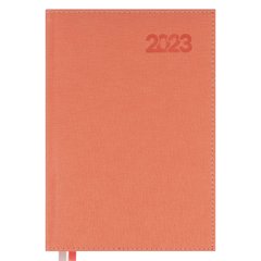 Ежедневник А5 Leo Planner датированный 2023 "Escalada" розовый