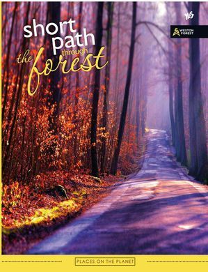 Зошит А4/96 кл скоба YES УФвыб. Forest Path