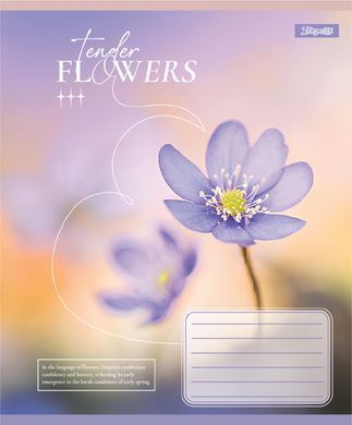 Зошит учнівський шкільний 1 Вересня Tender Flowers А5 18 аркушів клітинка