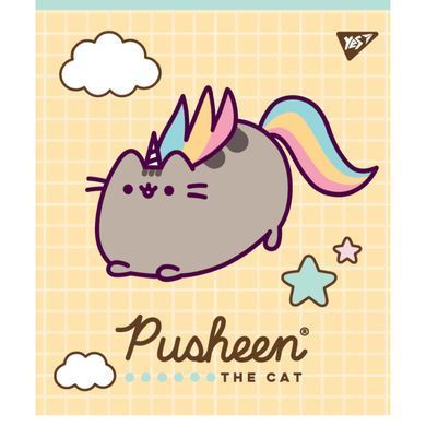 Зошит А5 12 Кл. YES Pusheen
