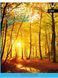 Зошит А4/96 кл скоба YES УФвыб. Forest Path 1 з 3