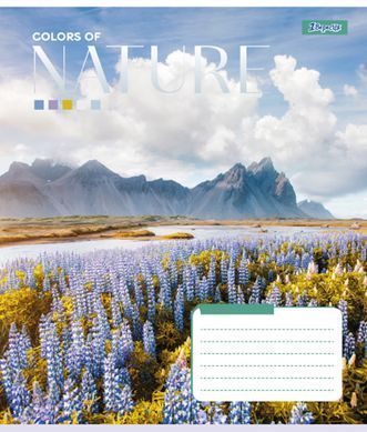 Тетрадь для записей 1В Colors of nature 60 листов клетка