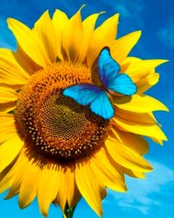 Алмазна мозаїка SANTI Соняшник з метеликом 40*50см на підрамнику