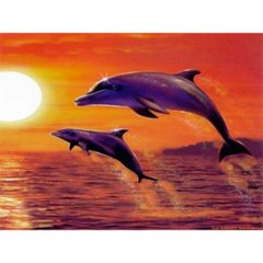Алмазная мозаика SANTI "Дельфины", 30*40см