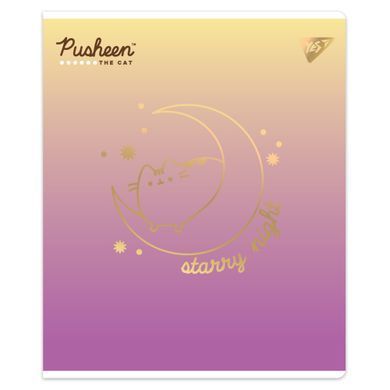 Тетрадь YES Goldstar Pusheen А5 24 листов клетка