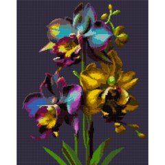 Алмазная мозаика SANTI Орхидеи 40*50см на подрамнике