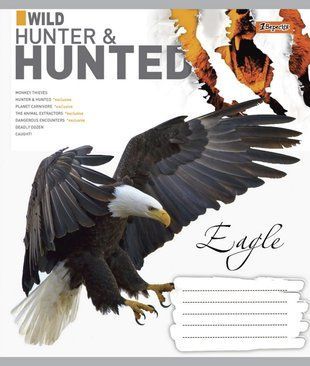 А5/48 лін. 1В Hunted, зошит для записів