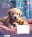 Зошит шкільний Yes You Lovely 12 аркушів лінія 5 з 6
