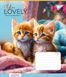 Зошит шкільний Yes You Lovely 12 аркушів лінія 4 з 6