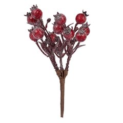 Гілка декоративна Yes! Fun з червоними ягодами, 16,5 см, зацукрована