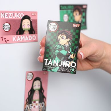 Магніти Yes Demon Slayer Tanjiro 6х9 см 2 шт