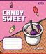 Зошит шкільний 1B Candy sweet 12 листів коса лінія 2 з 6