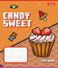 Зошит шкільний 1B Candy sweet 12 листів коса лінія 3 з 6