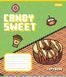 Зошит шкільний 1B Candy sweet 12 листів коса лінія 5 з 6