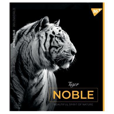 Зошит А5 48 Кл. YES Noble