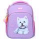 Рюкзак школьный каркасный Yes Stay Pawesome S-78M 2 из 15