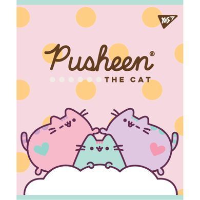 Зошит А5 12 Лін. YES Pusheen
