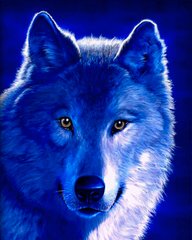 Алмазная мозаика SANTI Полярный волк 40*50см на подрамнике