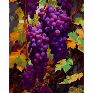 Картина по номерам с алмазной мозаикой SANTI Гроздь винограда,40*50 см.
