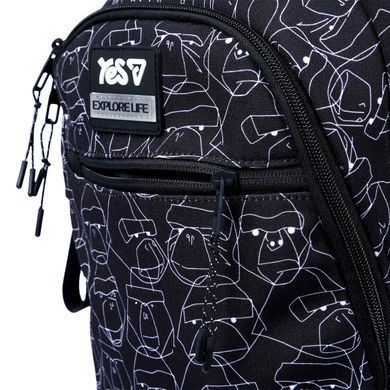 Рюкзак школьный Yes Monkey ТS-54M